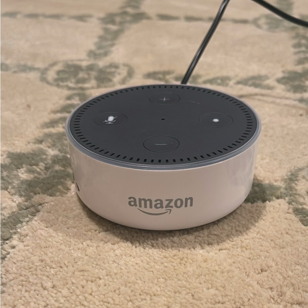 Amazon Echo Dot in Charcoal and White